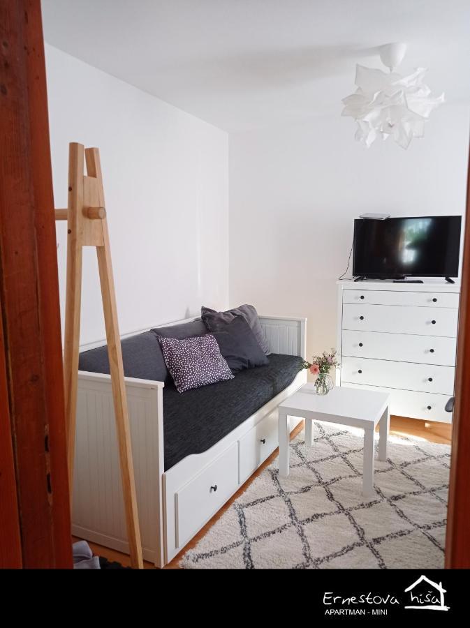 Apartment Ernestova Hisa Lokve Ngoại thất bức ảnh